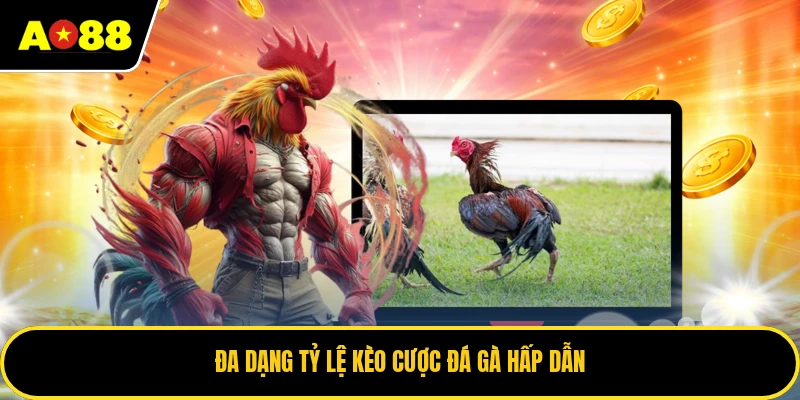 Đa dạng tỷ lệ kèo cược đá gà hấp dẫn