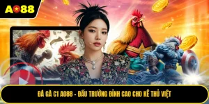 Đá Gà C1 AO88 - Đấu Trường Đỉnh Cao Cho Kê Thủ Việt