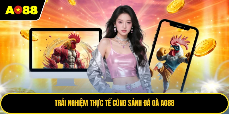 Trải nghiệm thực tế cùng sảnh đá gà AO88